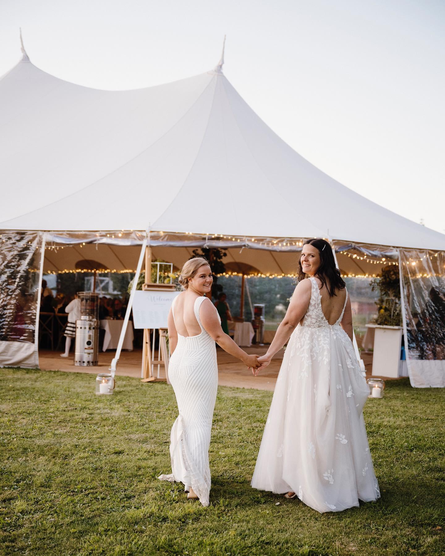 A Photographer's Love Affair With Mayfield Vineyard: A Perfect Wedding Venue