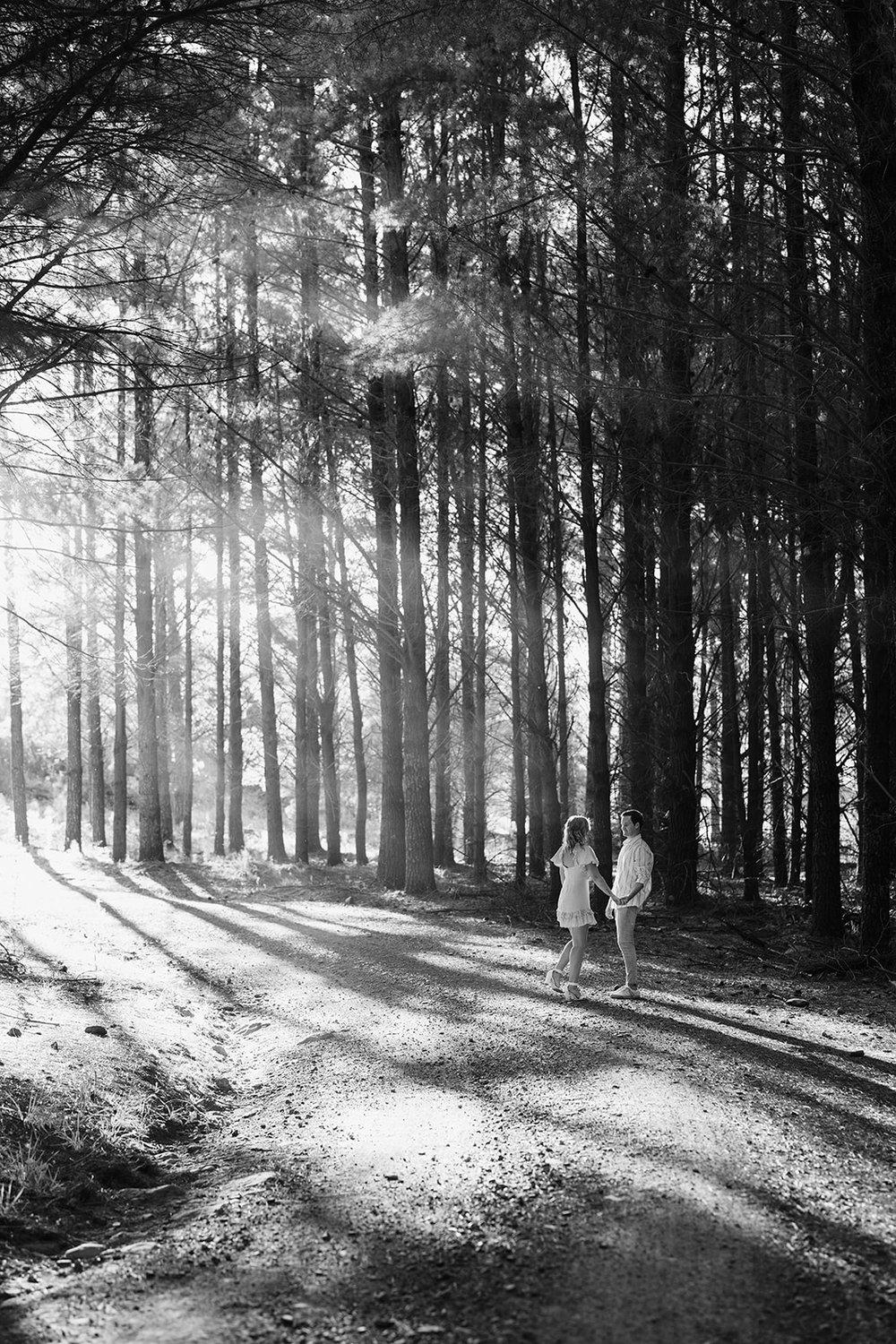 carousel-hero-element image-12